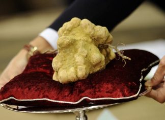 Top 10 World’s Most Expensive Food