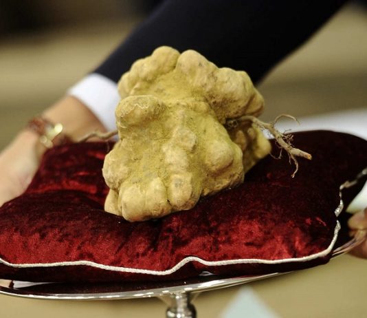 Top 10 World’s Most Expensive Food