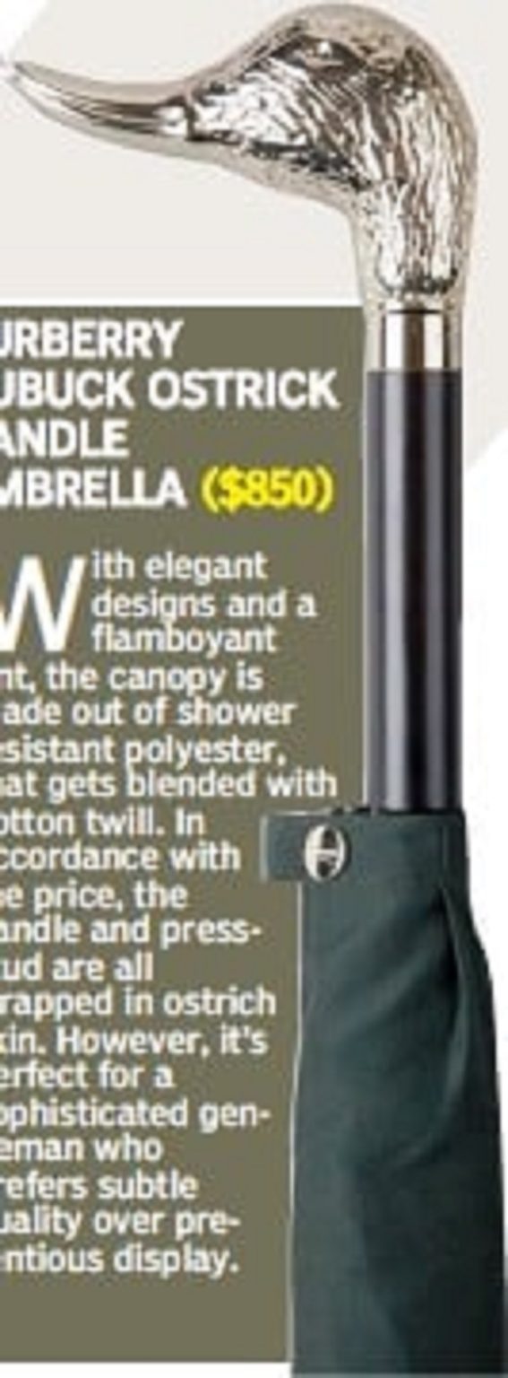 The Most Expensive Umbrellas in the World